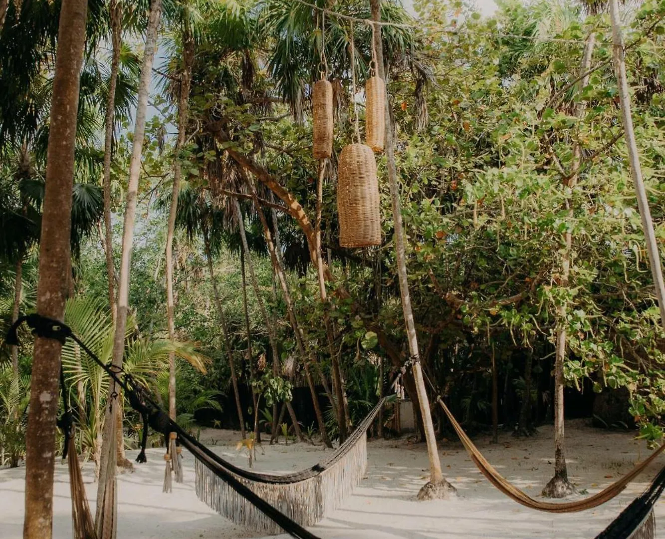 Tulum Jungle Loft With Pools, Gym And Panoramic Rooftop Terrace Apartamento