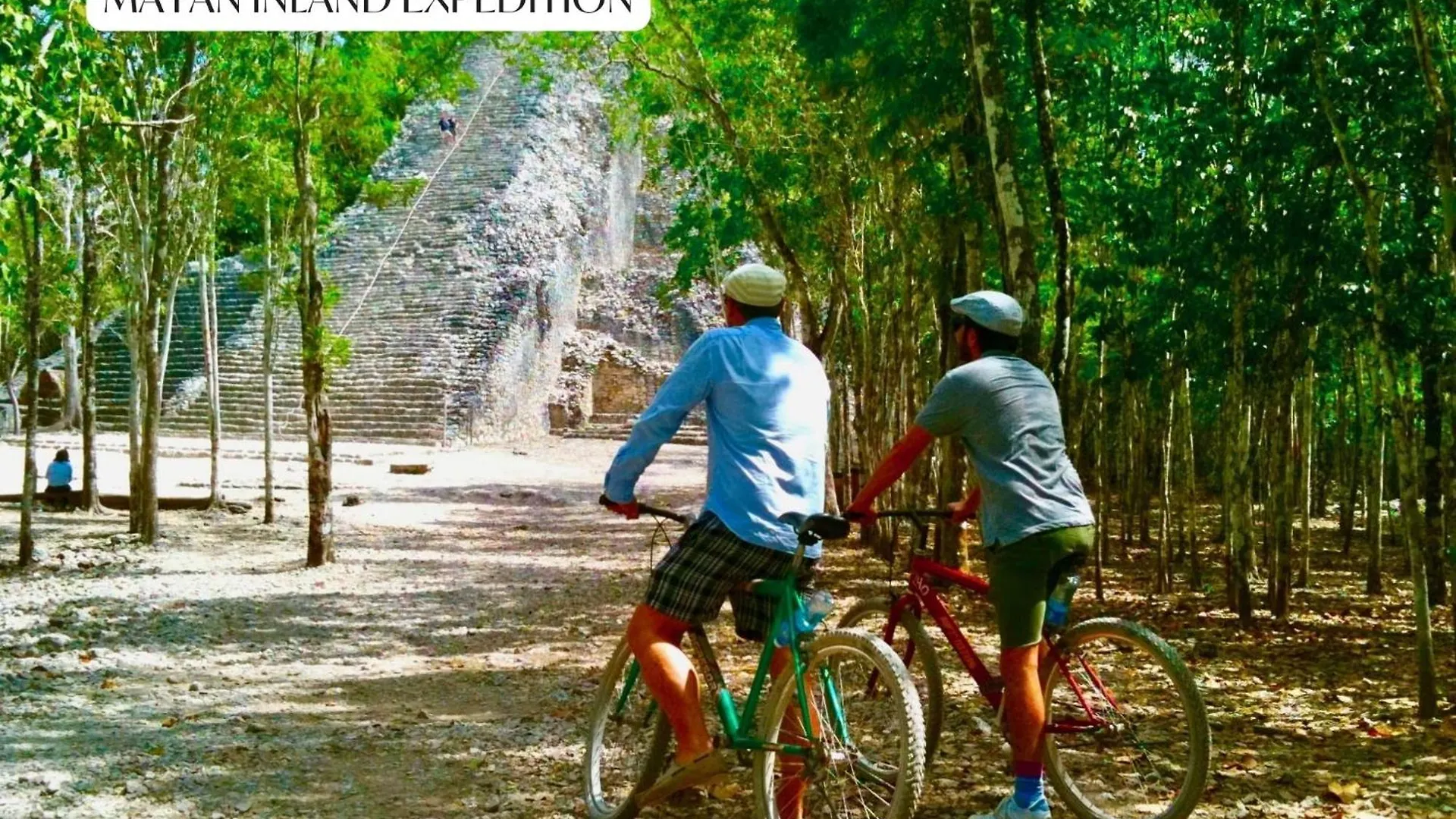Апартаменты Tulum Jungle Loft With Pools, Gym And Panoramic Rooftop Terrace