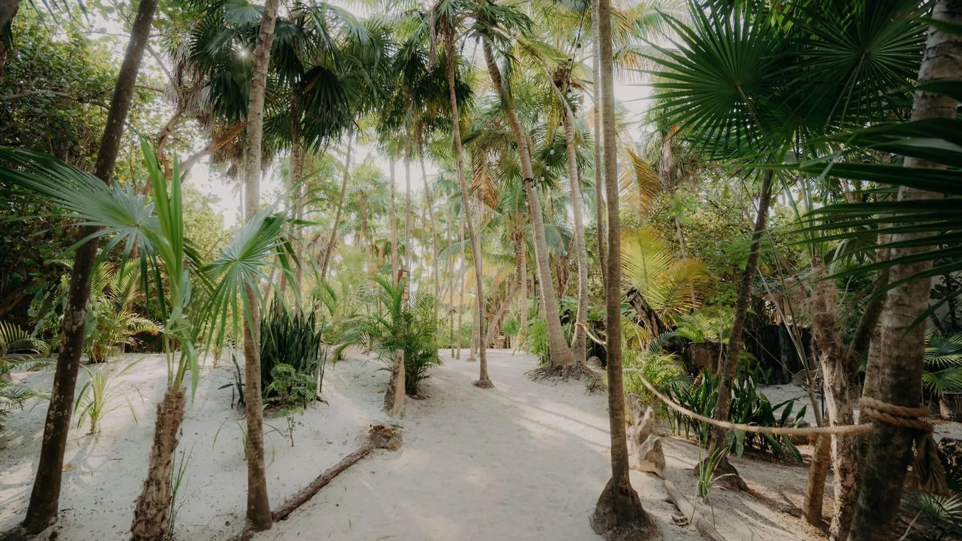 Tulum Jungle Loft With Pools, Gym And Panoramic Rooftop Terrace Апартаменты